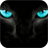 Cats with Blue Eyes Wallpapers icon