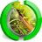 Chameleon In the Jungle Live Wallpaper icon