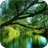 Clear Nature. Live Wallpapers icon