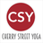 CSY icon