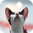 Cornish Rex Cats Wallpapers icon