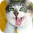Crazy Cats Wallpapers icon
