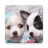 Descargar Cute Puppies Wallpaper