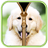 Cute Puppy Zipper Lock Screen APK Download