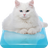 Cute White Cat Live Wallpaper icon