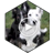 Dogs in Love Live Wallpaper APK Download