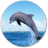 Dolphin Wallpapers icon