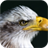 Eagle. Birds Live Wallpapers icon