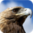 Eagle. Nature Live Wallpapers icon