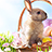 Easter Background icon
