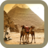 Egypt Wallpapers HD icon