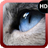 Cat Eyes Wallpaper icon