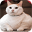 Fat Cats Wallpapers icon