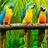 Favorite Parrot Live Wallpaper icon
