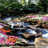 Forest Flower River LWP icon