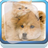 Sweet Friends Kitten and Dog icon