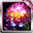 Glowing Flower Live Wallpaper icon