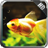Gold Fish WalLpaper icon