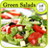 Green Salads Recipes icon