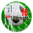Descargar Guide Fifa 16 Ultimate