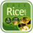 Freerice Charity Trivia App icon