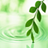 Herbs Cooking & Curing icon