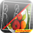 Increase Height & Diet Plan icon