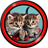 Kittens Live Wallpapers icon