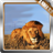 Lion Animated Wallpaper icon