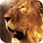 Lion in fiery sparks icon