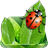 Ladybug Army Live Wallpaper icon