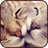 Lovers cats icon