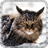 Maine Cat Wallpaper icon