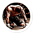 MMA Trainning icon