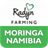 Moringa Namibia version 2.0.0