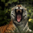 Tiger Images Live Wallpaper icon
