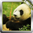 Descargar Panda Animated Wallpaper