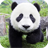 Descargar Panda Wallpaper