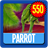 Parrot Wallpaper HD Complete icon