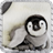 Penguim Wallpaper icon