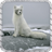 Polar Fox Pack 2 Wallpaper icon