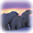 Polar Wallpaper icon