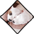 Puppies HD Wallpaper Pro icon