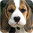 Puppy Dog Background icon