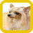 Puppy Wallpapers Free icon