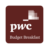 PwC Budget icon