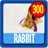 Rabbit Wallpaper HD Complete 1.0