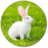 Rabbit Wallpapers icon