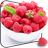 Raspberries Flight Live Wallpaper icon