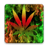 Rasta Fire Keyboard icon